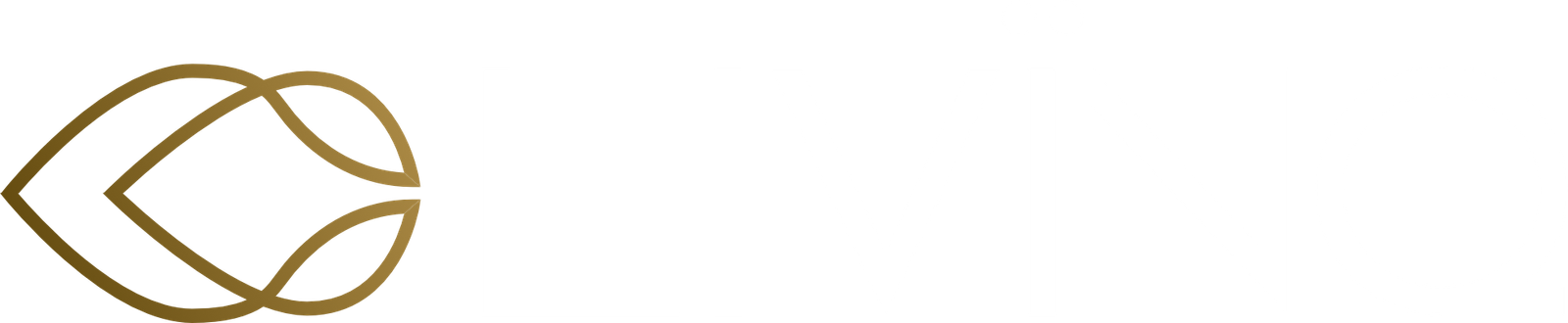 inquiry - zen - anoor_ Logo für LIVINQ mit stilisierten geometrischen Formen in Gold auf der linken Seite und einem fetten, modernen weißen Text. Zwei Punkte erscheinen über dem N im Wort LIVINQ. Der Hintergrund ist transparent.