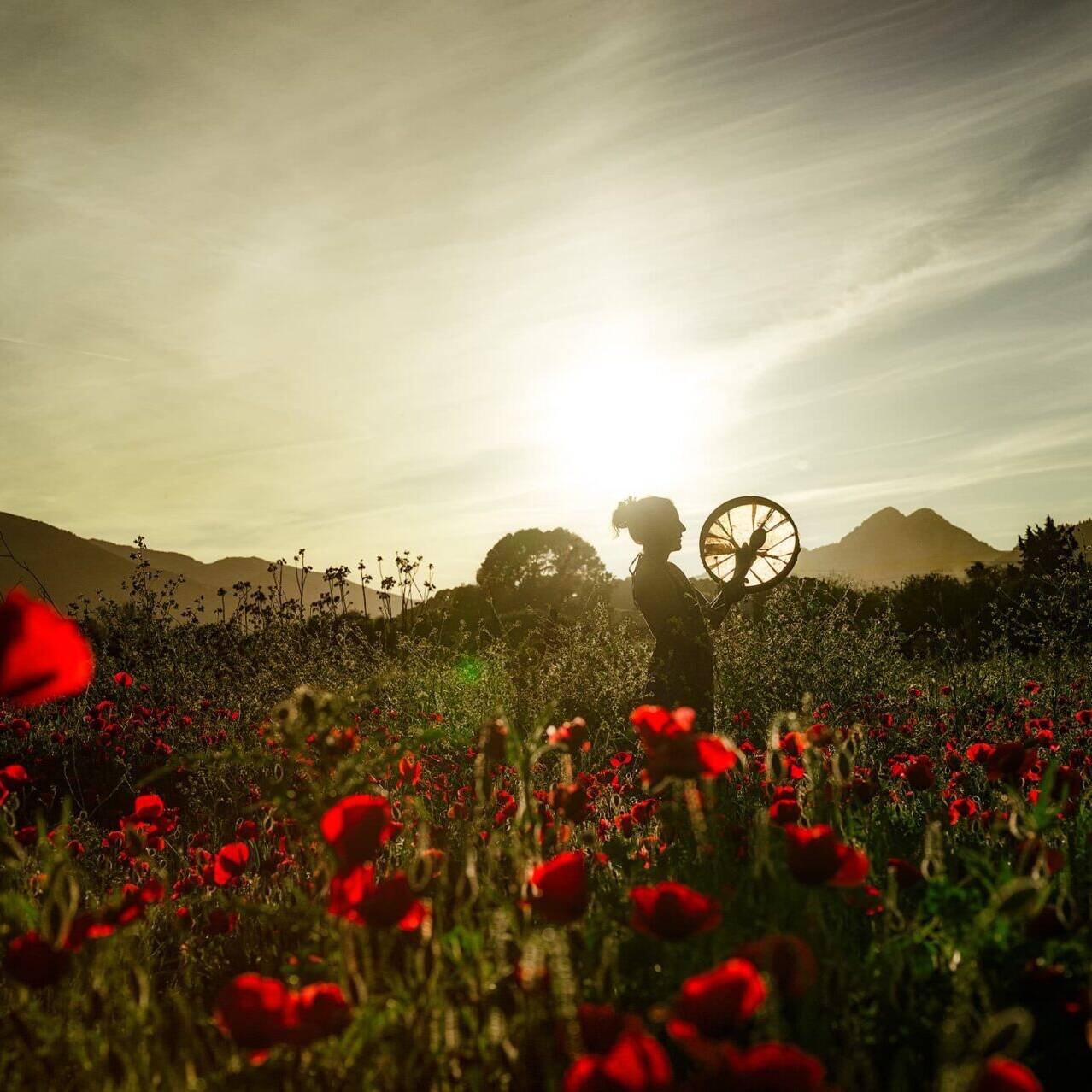 inquiry - zen - anoor_ Eine Person steht bei Sonnenuntergang in einem Feld voller roter Mohnblumen und hält ein Rad. Die Sonne steht tief am Himmel und wirft ein warmes Licht, so dass sich die Silhouette der Person von den fernen Bergen abhebt.