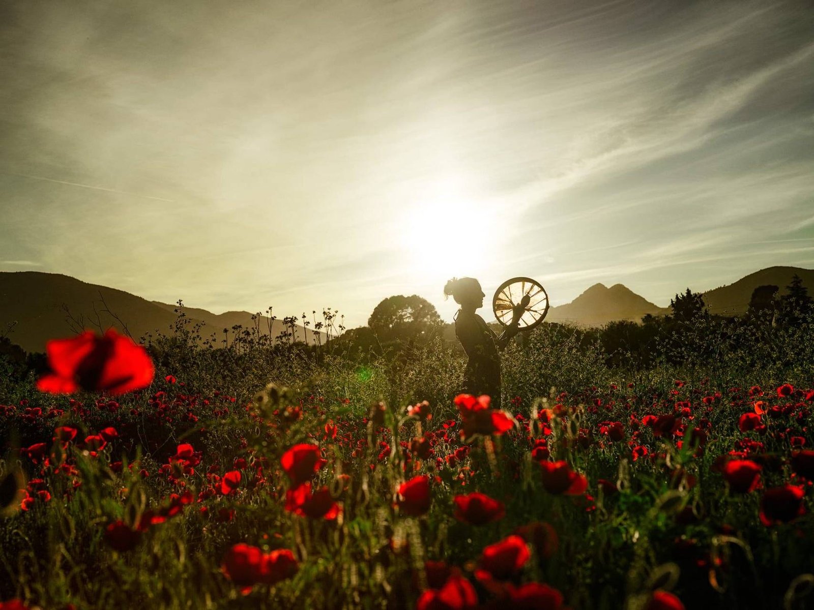 inquiry - zen - anoor_ Eine Person steht bei Sonnenuntergang in einem Feld voller roter Mohnblumen und hält ein Rad. Die Sonne steht tief am Himmel und wirft ein warmes Licht, so dass sich die Silhouette der Person von den fernen Bergen abhebt.