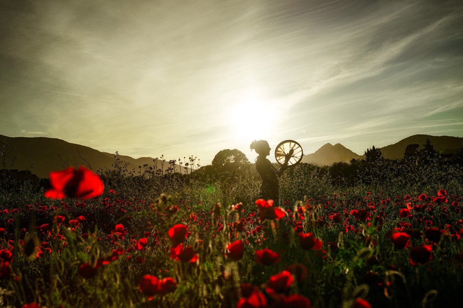 inquiry - zen - anoor_ Eine Person steht bei Sonnenuntergang in einem Feld voller roter Mohnblumen und hält ein Rad. Die Sonne steht tief am Himmel und wirft ein warmes Licht, so dass sich die Silhouette der Person von den fernen Bergen abhebt.