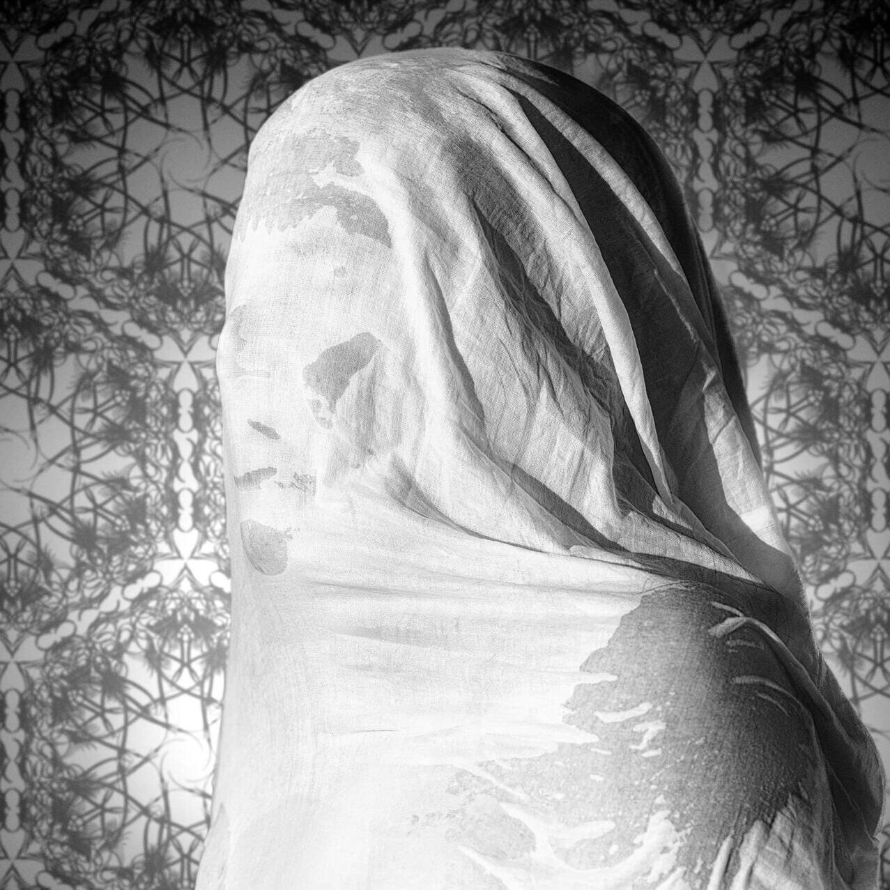 Nz6 1485 bw1 web
